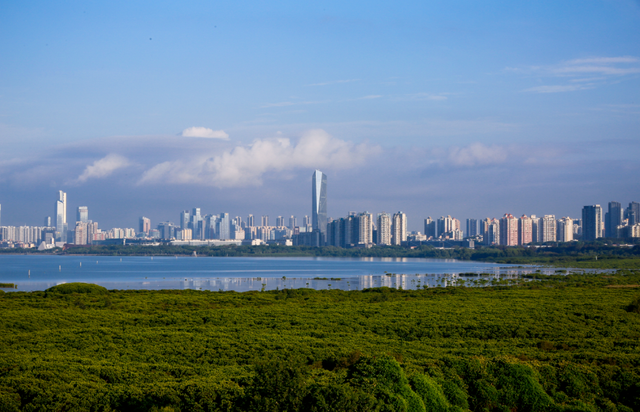 深圳知名景区提醒：即日起，入口有变！