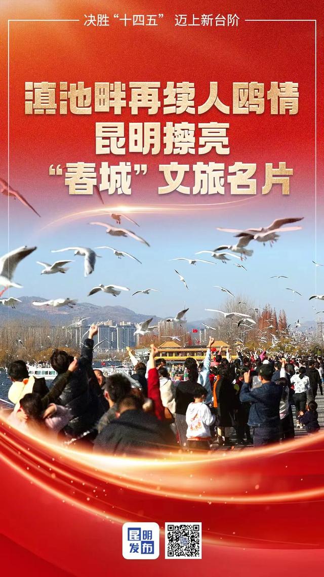 决胜“十四五” 迈上新台阶 | 滇池畔再续人鸥情 昆明擦亮春城文旅名片