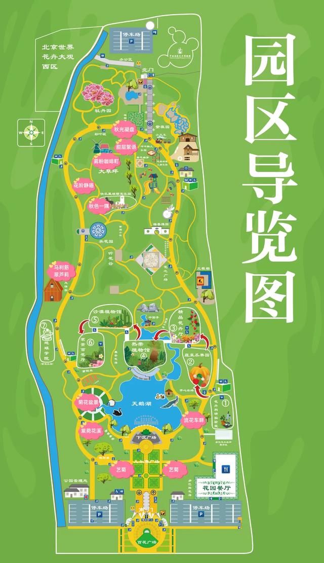 避开人潮!十一来世界花卉大观园,沉浸式解锁“N”种游玩方式
