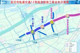 武汉新增两座地铁站，位置公布！图片