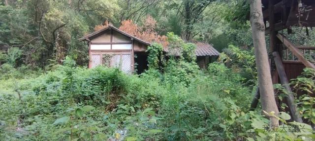 绍兴这个村怎么了?曾经的影视基地,全国知名!如今变成这样了