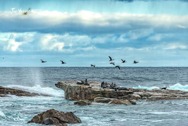 社死瞬间！我成了好望角最大显眼包 难道我的地理课本是盗版？