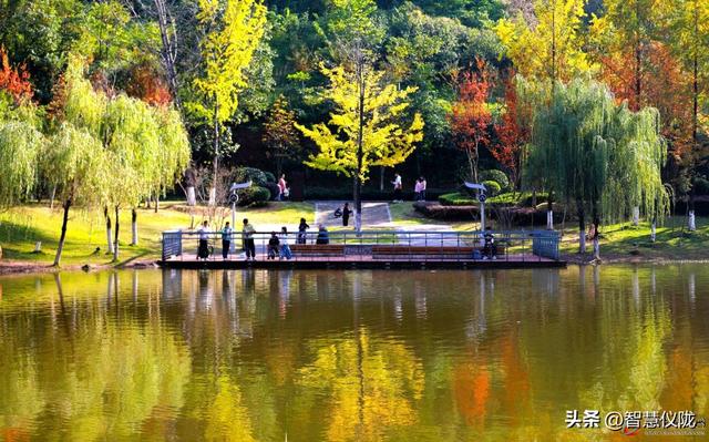 仪陇德园「初冬调色盘」已上线！限定美景正当时，快带家人朋友打卡！
