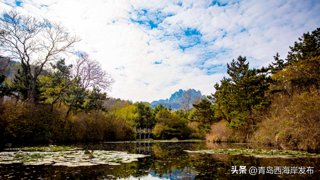 好！多！颜！色！啊！