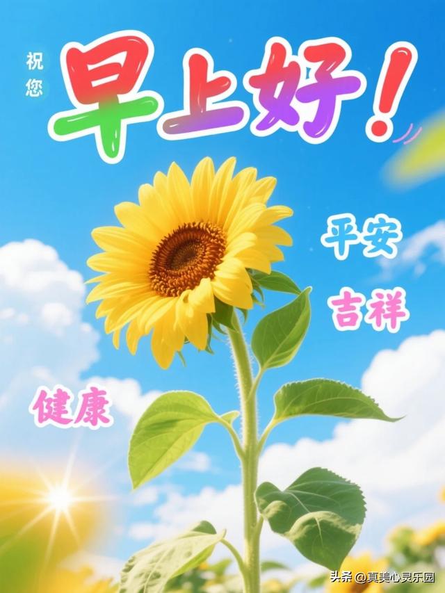 9张漂亮的早安祝福美图，愿你生活甜蜜幸福吉祥，开心快乐每一天