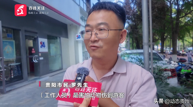 “你打猴我就打你”环卫工驱猴被游客怒斥，黔灵山公园工作人员