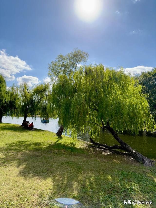 重阳节，上海赏秋之美