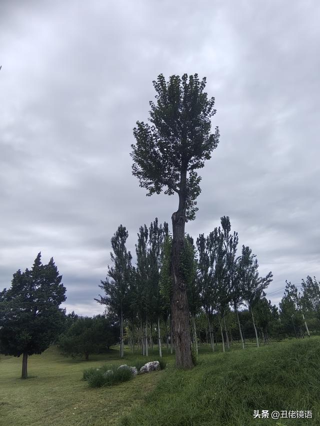 自拍影集（40）减河公园：藏于时光间的静谧之美
