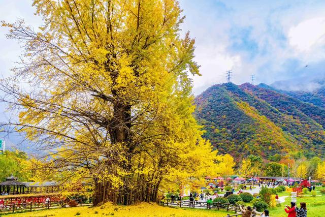 中国最美乡村公路