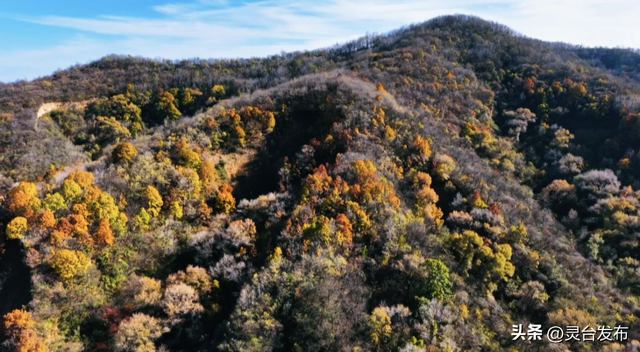 把灵台秋韵的山水诗意 都藏进这个秋天里