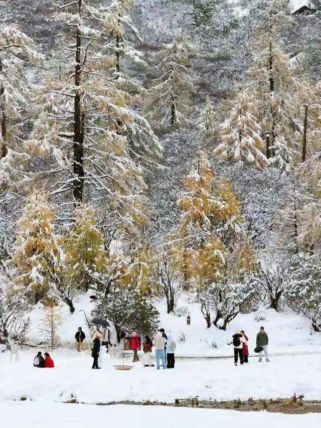 秋假追雪毕棚沟,没想到被安德服务区圈粉了!