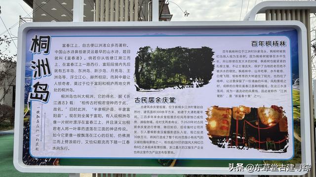 大美桐洲岛，富春江上的绿野仙踪，解锁水陆空撒野新玩法