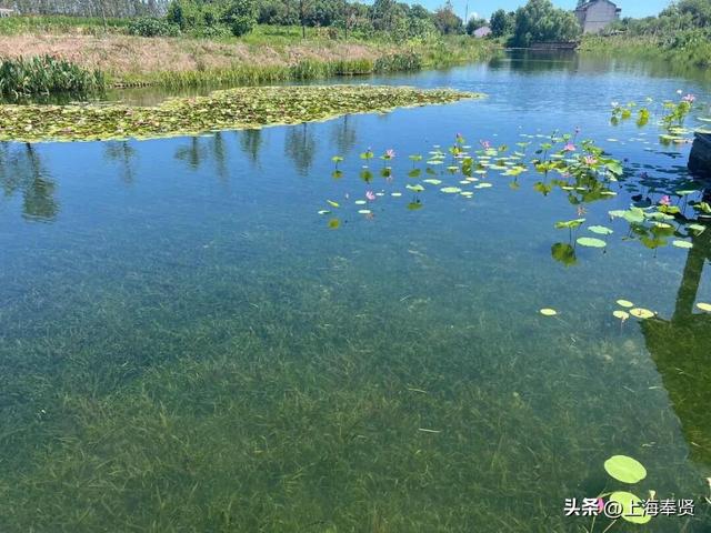 漫步河畔•贤美生活