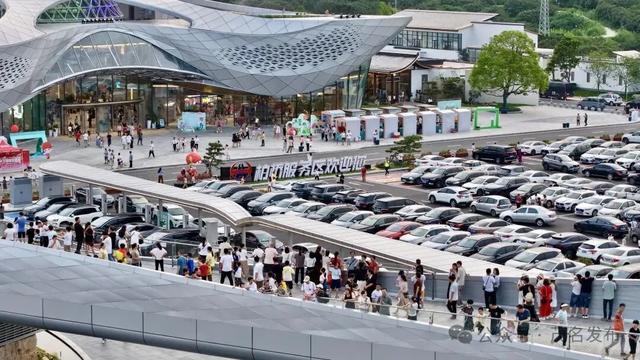 茂名新观察⑧ | 柏桥服务区为何这么“火”