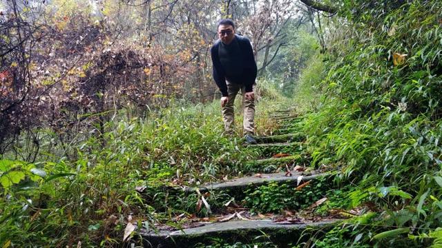 重庆南山被遗忘的千年古道，曾是重庆出川重要通道，如今成为秘境