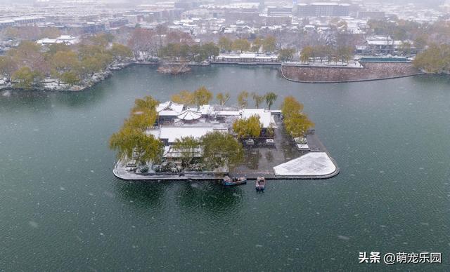 雪精灵造访济南城，趵突泉边遇奇迹，千佛山上现童话