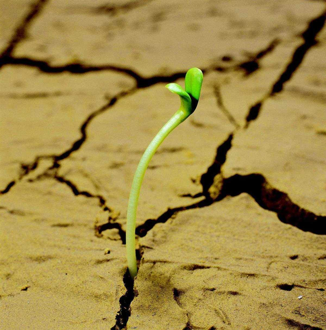 诗词荟萃——赵天成散文诗集