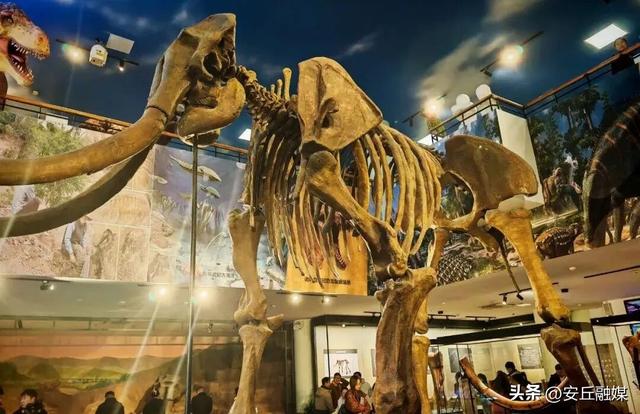 出发，向潍坊！这个冬天总有一种玩法你会心动