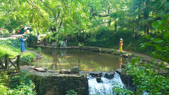 盘州市妥乐古银杏景区：绿色氧吧引来众多避暑游客