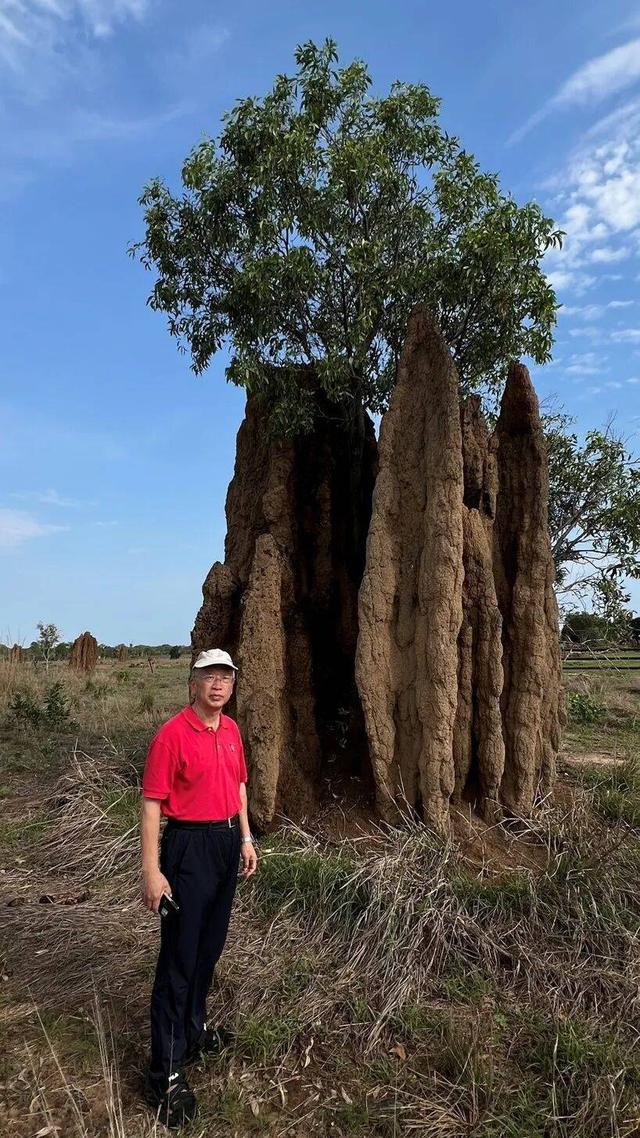 【异域风情】李后强：澳洲的“达尔文金字塔”