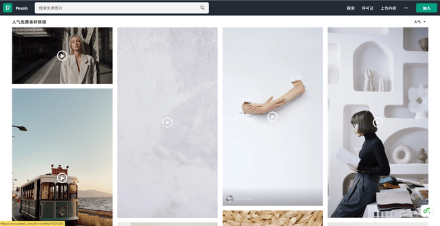 精选8个高质量视频素材网站，4K无版权
