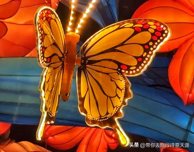 南京2026年老门东灯会展区