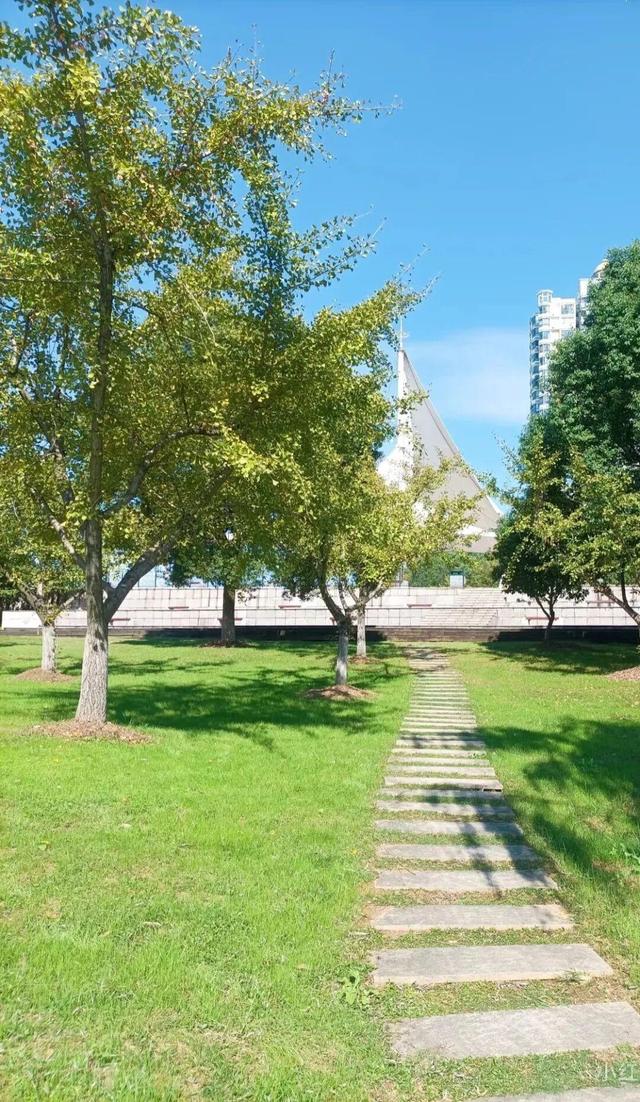 游在鹰潭｜这座城市秋日杀疯了！4重甜感暴击，谁来谁上头！「全球学子嘉游赣 奇绝鹰潭逍遥游」