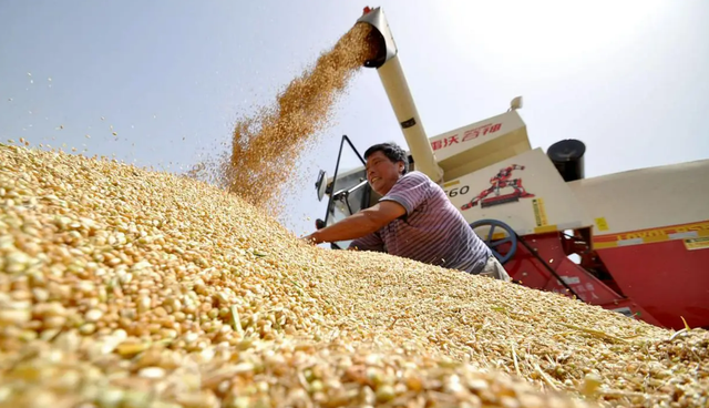 打不过中国，那就饿垮中国？西方媒体算了笔账，看得我大受震撼