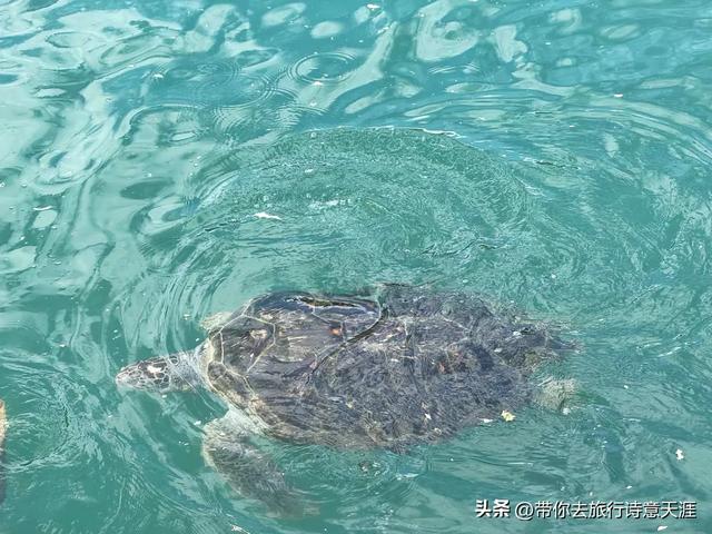 惠州双月湾，内海与外海的海韵迥然不同