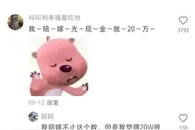 20万真的很少吗？原来20万已是巨款图片