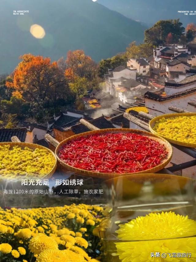 中国最美的十个慢生活古镇，退休后一定要去住几天 把日子过成诗