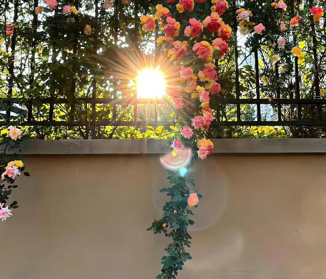 25条可以长期坚持的习惯，记得收藏