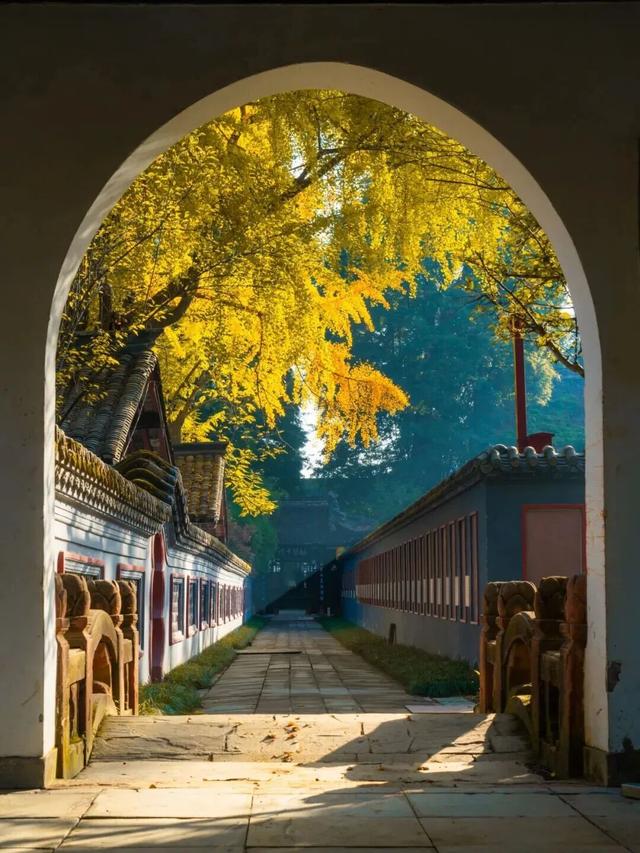 还起什么标题，美不美你们直接看！