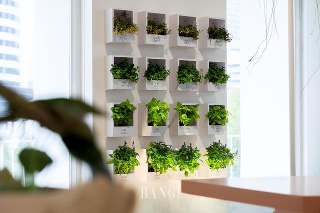 邀你深呼吸：JW万豪携手Marimekko发来一份静谧邀约