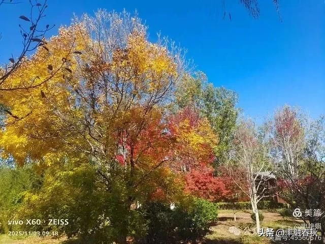 青岛即墨马山寻趣:一座地质公园的秋日私语|申艳娟