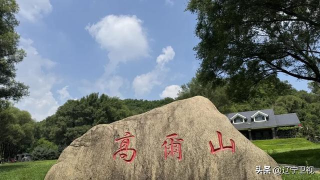 抚顺一日游小众路线曝光!90%的人没玩过的宝藏玩法→