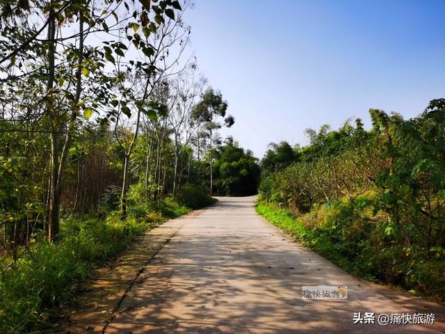 行走自贡：俞冲至万场的乡村风光