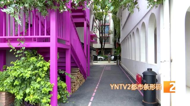 巨型稻草人、睡美人稻海等太出片了！昆明这个宝藏景点越来越美！