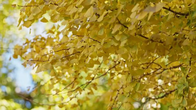 天气很冷,大理很“热”