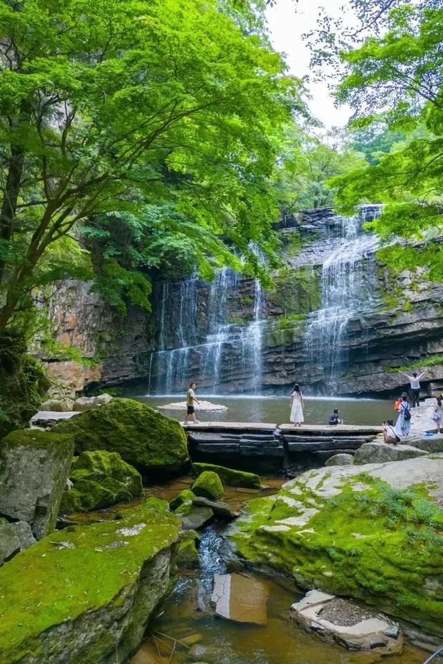 我想离开浪浪山，去汉中奔赴下一个“山海”→