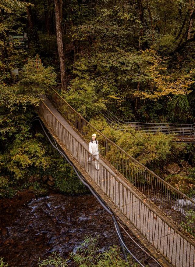 秋假第一站，就定这里！这片绝美彩林人少景美，速来赏秋！