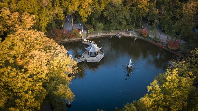 栖霞山强烈预警：赶在降温前快来打卡，红枫最佳观赏期别错过！