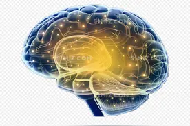 脑电图到底是什么？一分钟带你看懂这项“脑电波检查”！图片