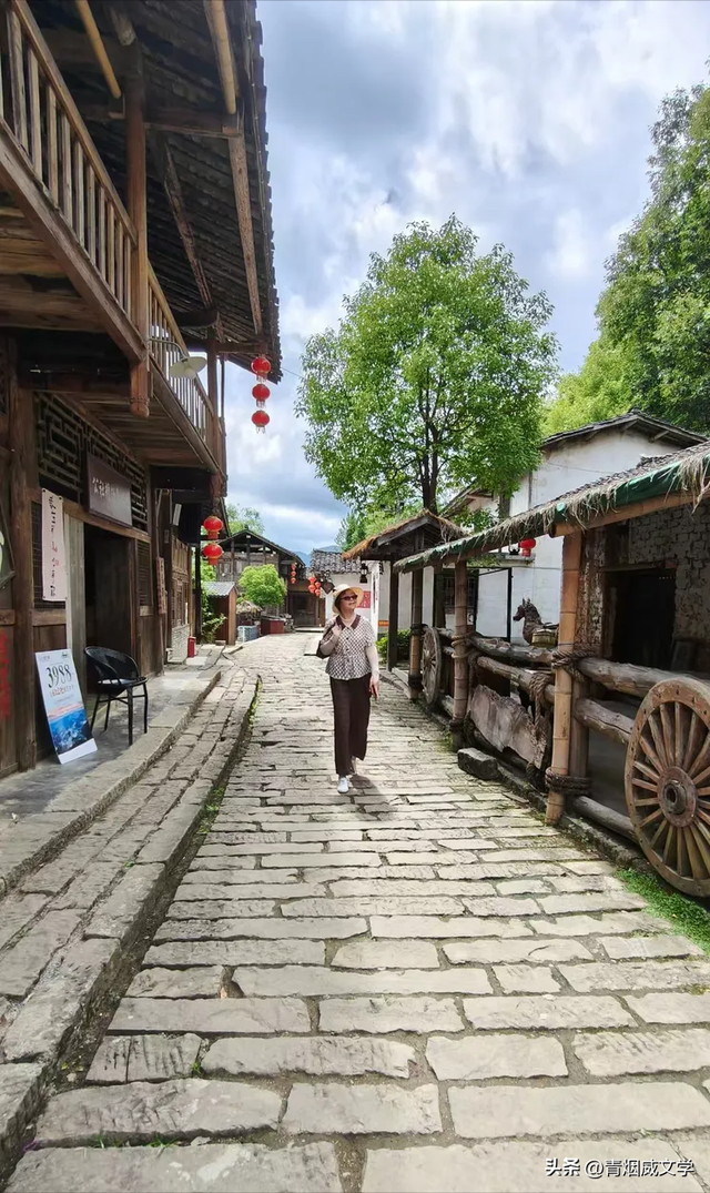 2025 凉雾之夏