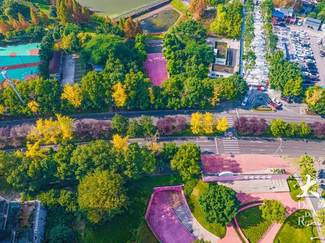 大渡口这里开启“美颜模式”,打卡要趁早~