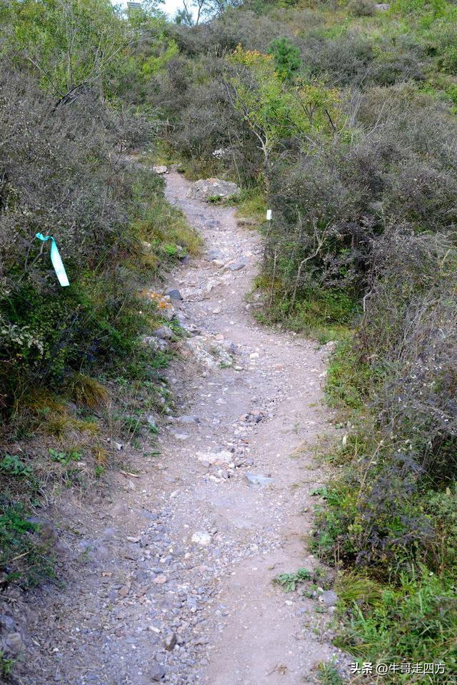 延庆应梦寺（五）：山巅极目收千嶂，林海听风涤尘心