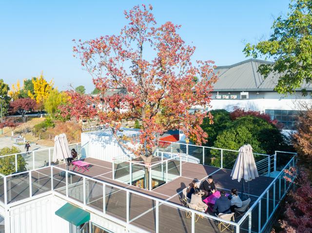 常州的秋，醉了