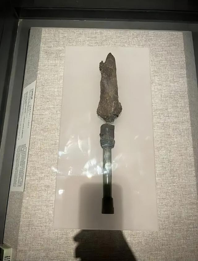 豫博探秘：穿越时光的华夏寻根之旅