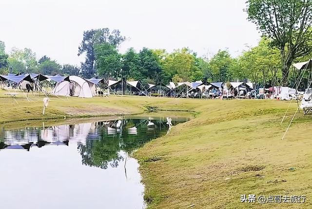 成都主城区最大人工湖，秋天超级惊艳，不要门票，地铁公交直达！