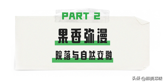 阿乌拉：林间亲子乐园，让家的温暖在自然里生长‌